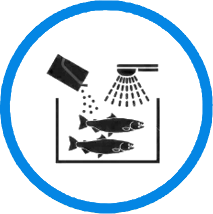 Nursery / Fish Process