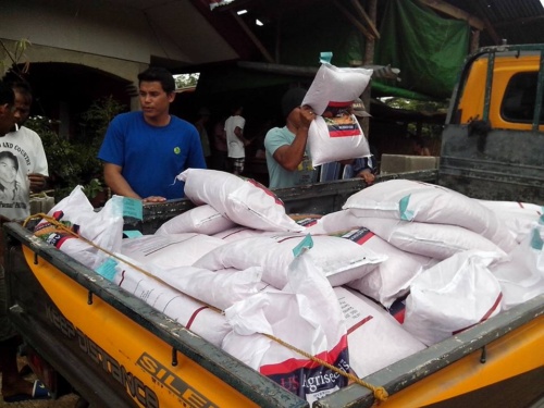 DA-SAAD North Cotabato team distributes 50 sacks of hybrid X5 corn seeds
