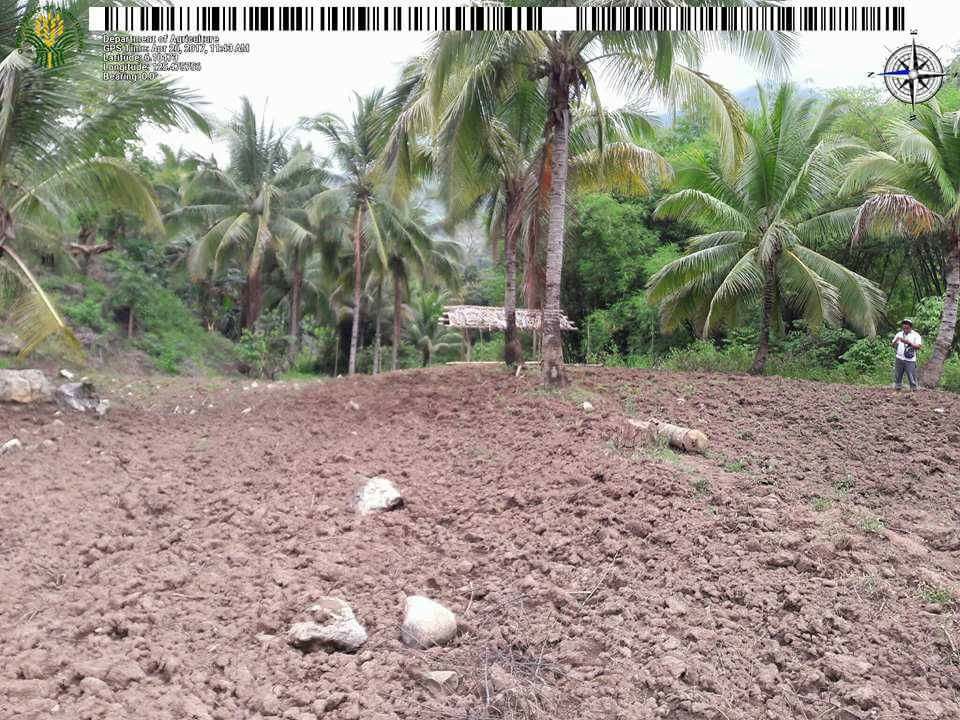 Sarangani beneficiary prepares his land for planting