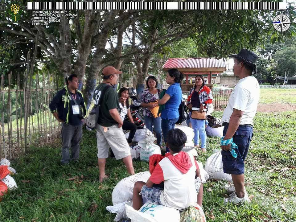 DA-SAAD Sarangani project’s upland rice seedlings ready for purchase