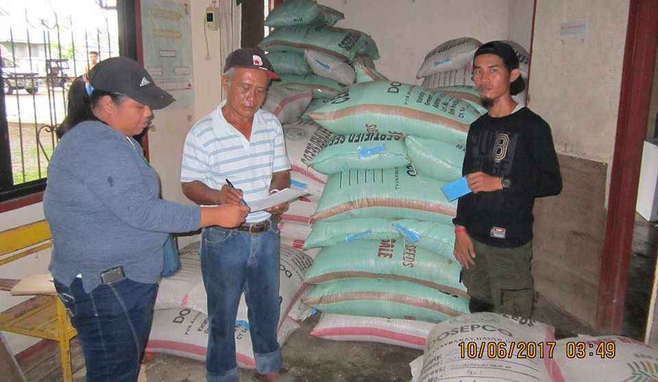 SAAD NEW Samar distributes more than 3,000 bags of certified rice seeds