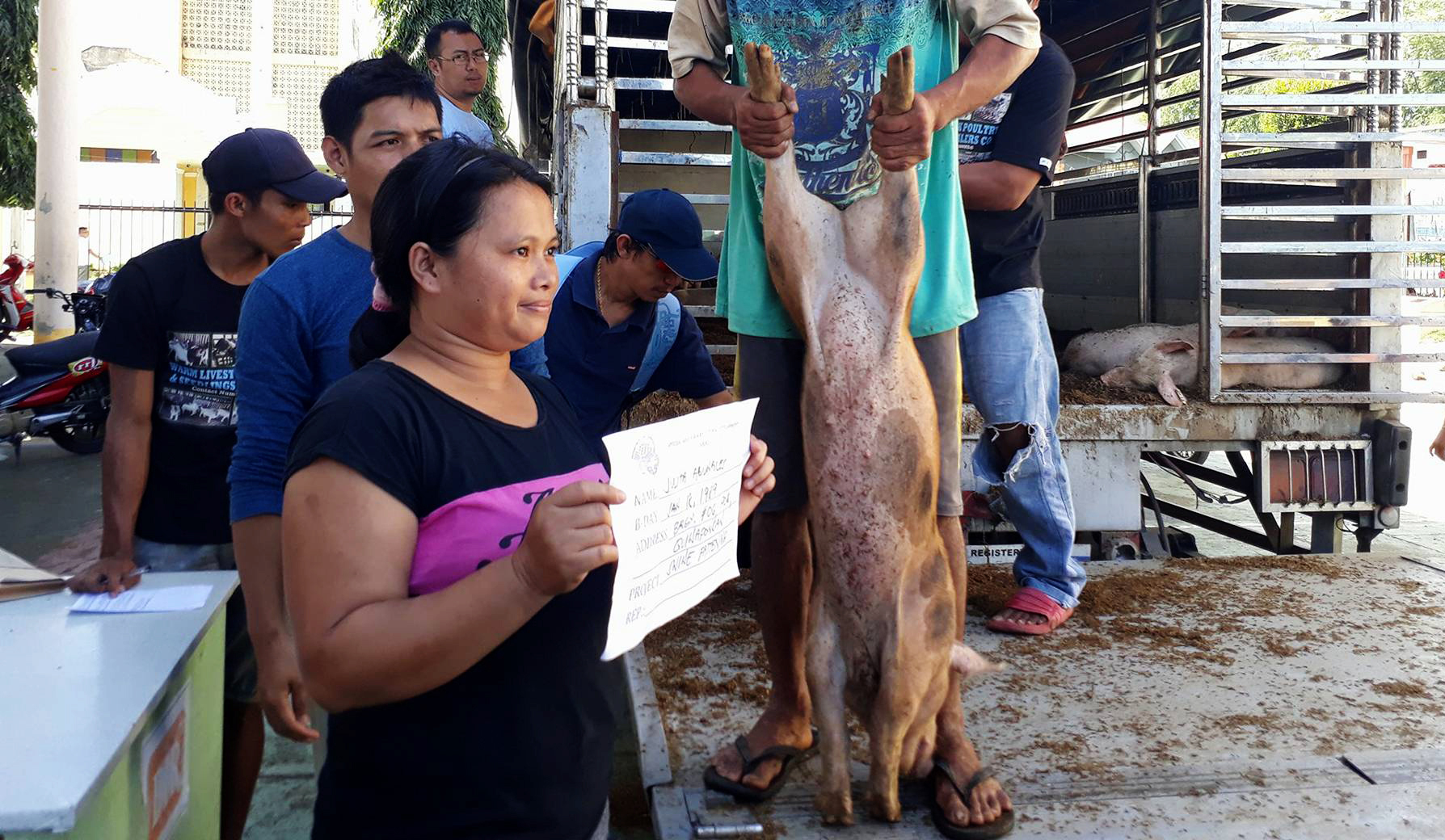Fourty-five farmers in Eastern Samar receive 135 swine
