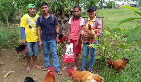 DA-SAAD Apayao’s chicken project starts producing results