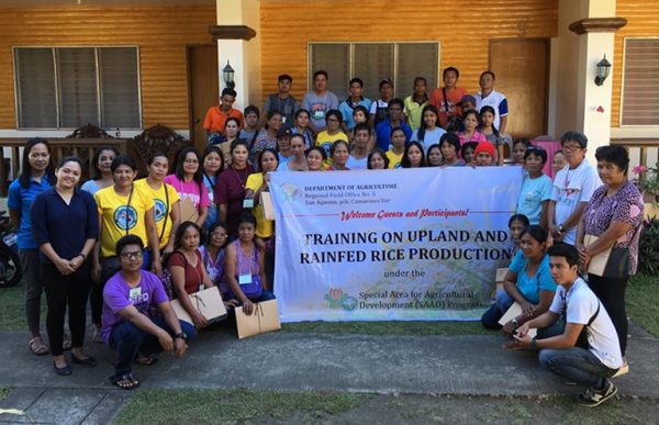 100 SAAD Sorsogon beneficiaries undergo Upland Rice Production Training