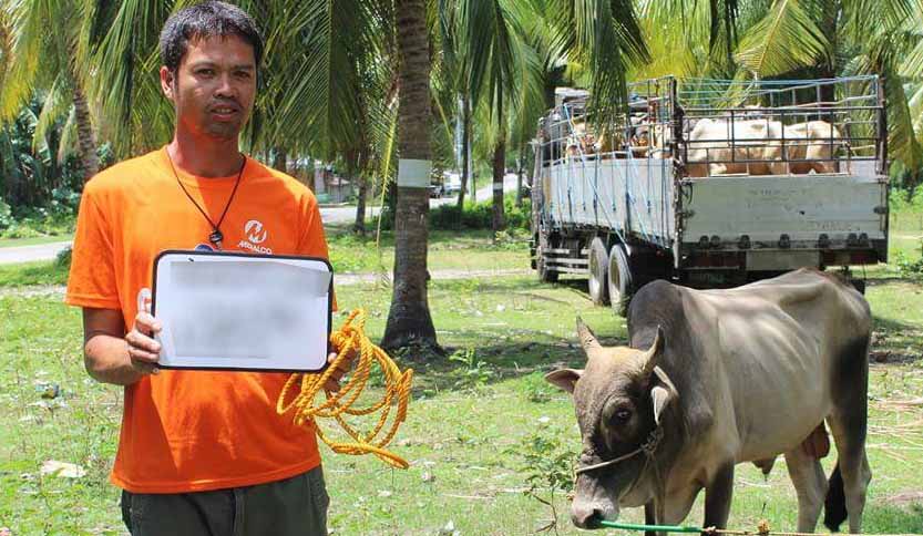 SAAD Negros Oriental disperses cattle to farmer-partners