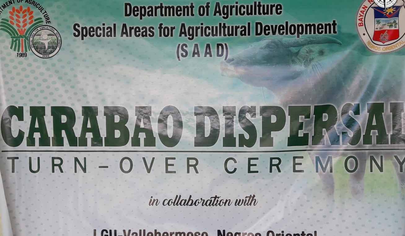 DA-SAAD Negros Oriental disperses livestock in Vallehermoso
