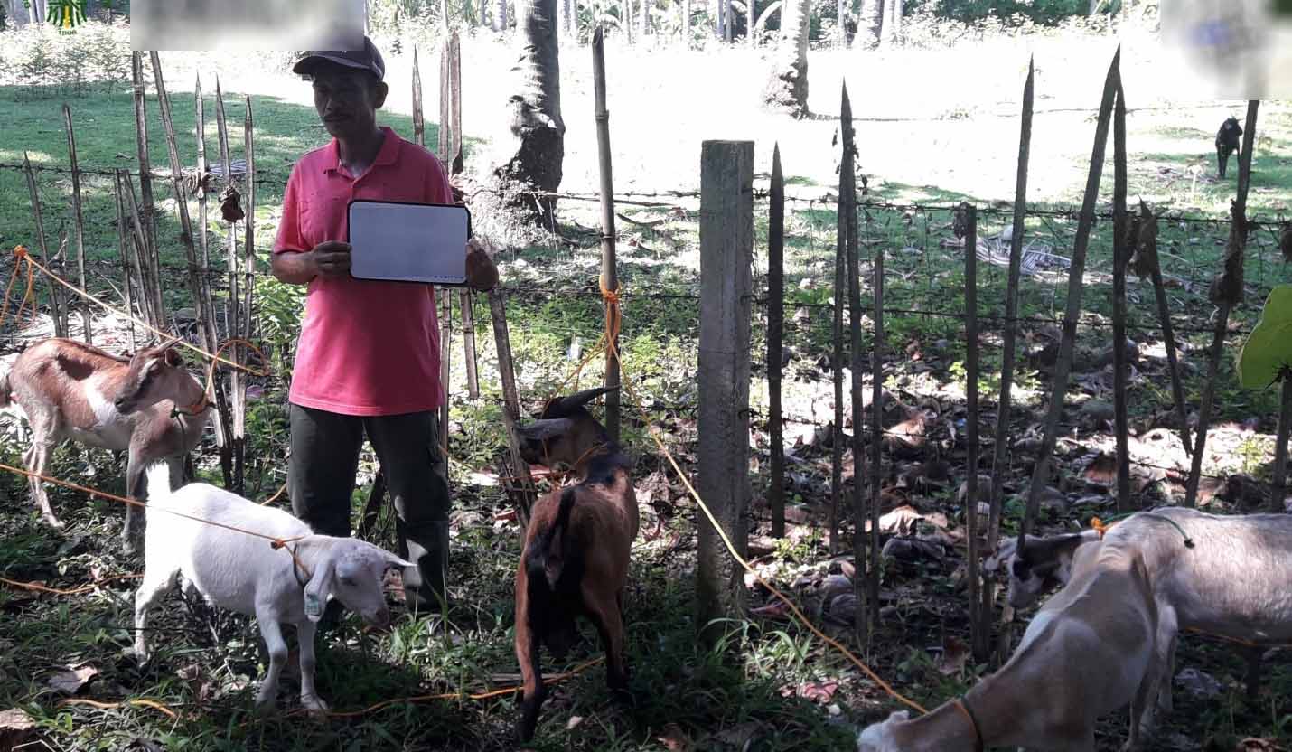 Negros Oriental farmers receive livestock under DA-SAAD’s Goat Production Project