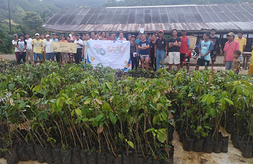 Brgy. Nacibac received durian, lanzones, mangosteen seedlings from DA-SAAD