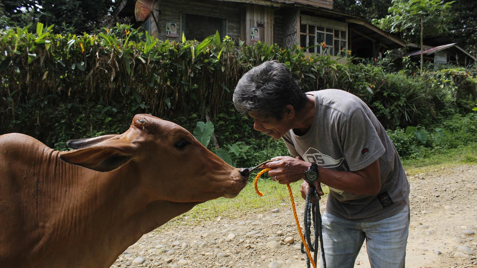Misamis Occidental farmers receive P11.6m worth of livestock, seeds, machinery