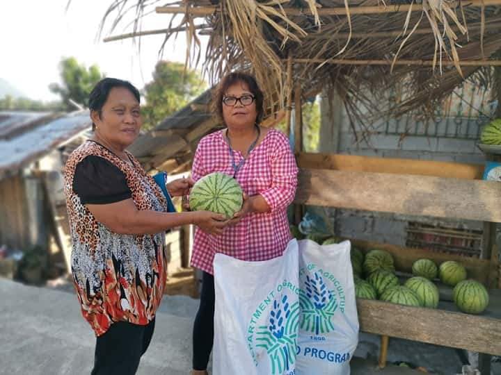 SAAD Sorsogon farmers sell produce in Kadiwa outlet during COVID-19 pandemic