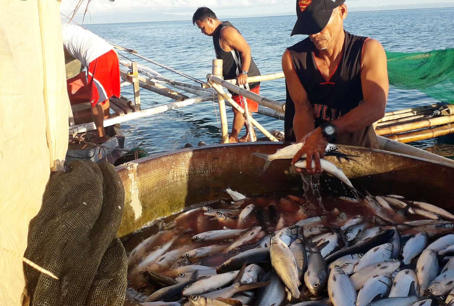 Bangus fisherfolks harvested 1.455 tons in Bohol