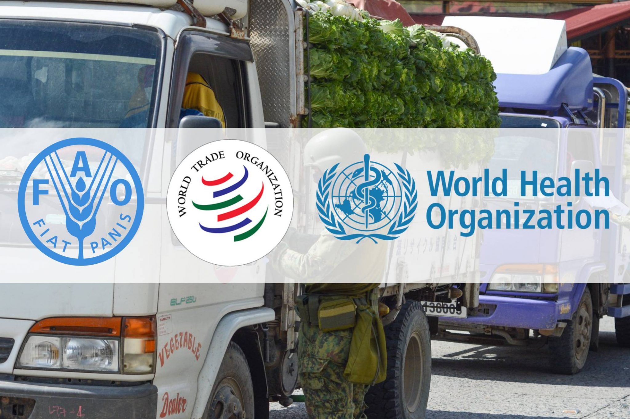 DA affirms joint call of FAO, WHO, WTO on freeing up food trade flow