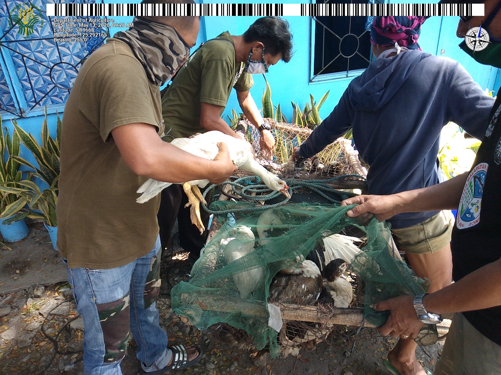 Crop-poultry project propels Sarangani farmers out of poverty