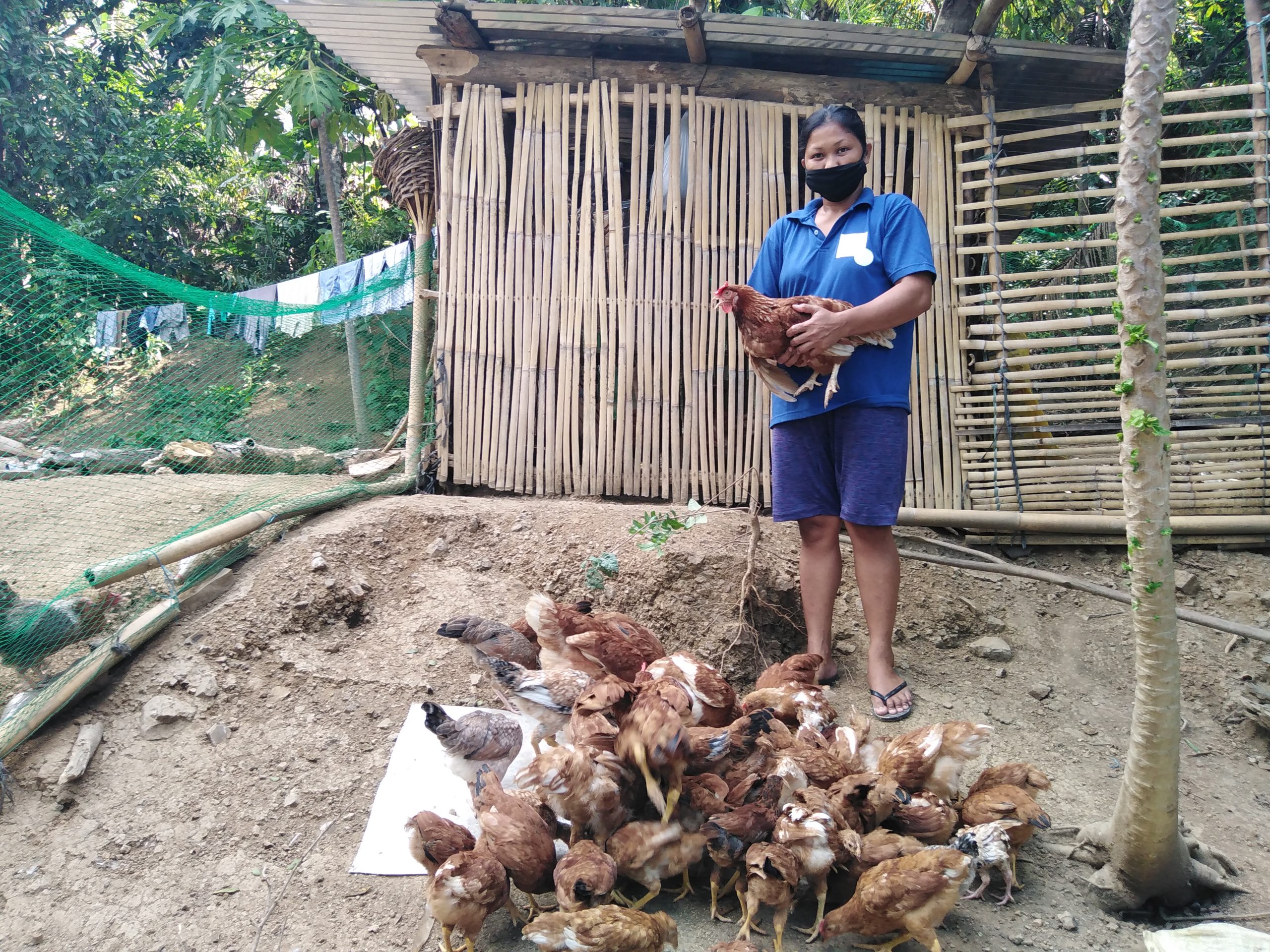 Tanudan woman-farmer started egg and chicken production enterprise
