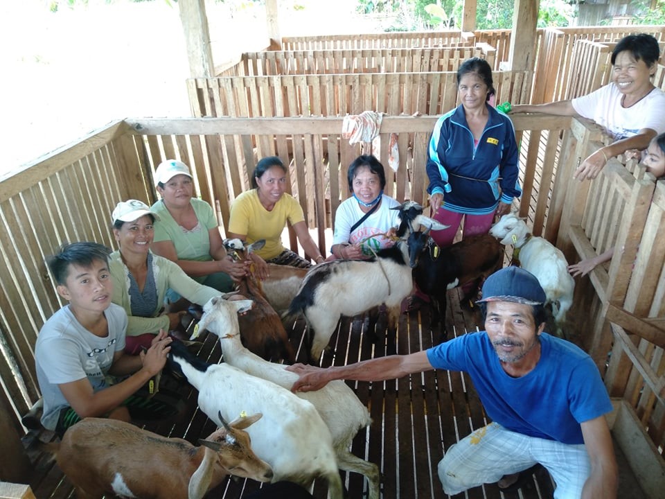 Region 13 expands goat production in Surigao del Sur