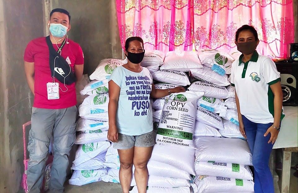 5 IP associations in Surigao del Sur granted with corn seeds
