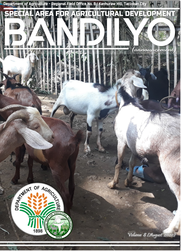 Bandilyo Vol. 1 Issue No. 8