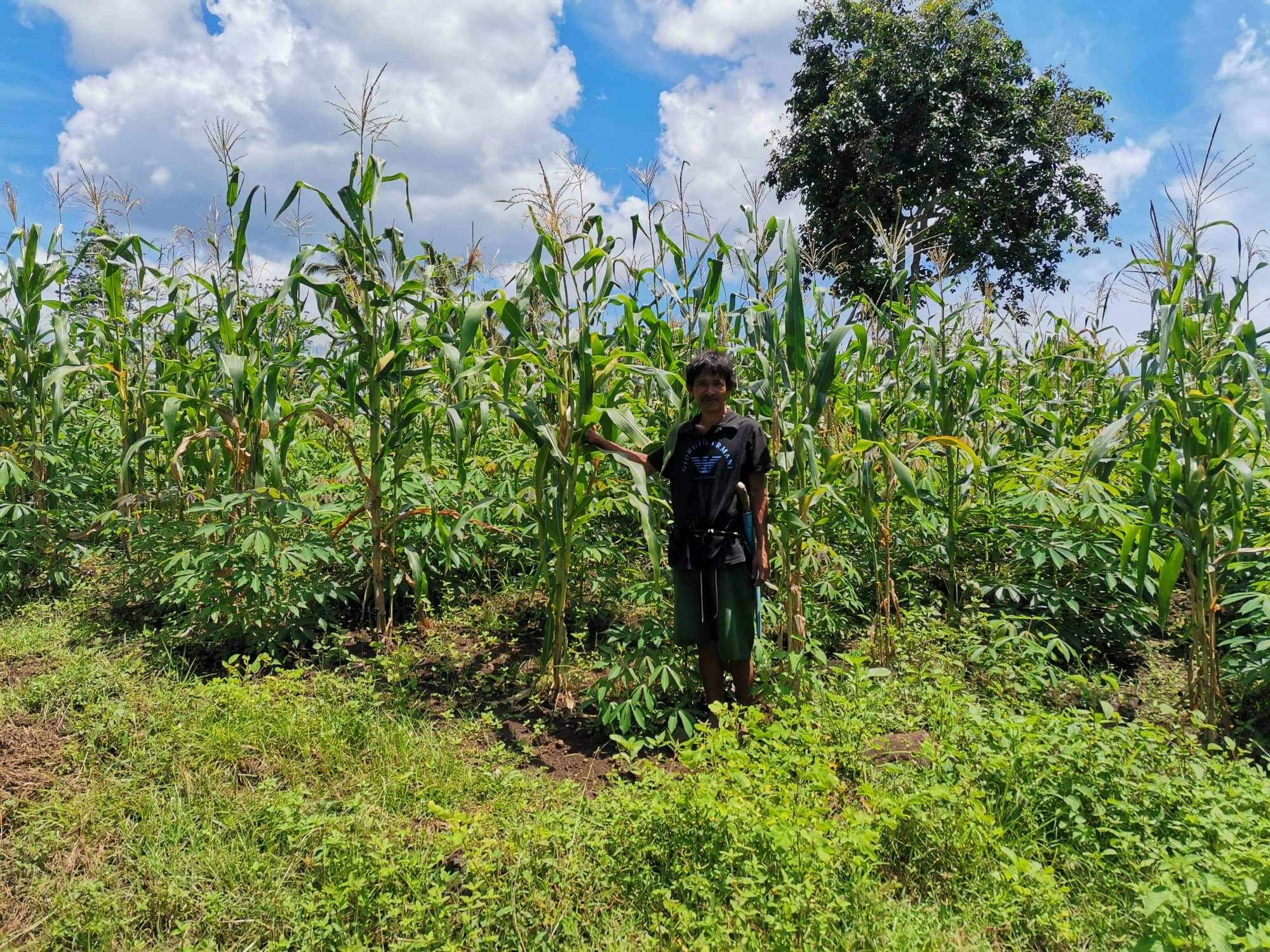 Tausug family’s success thru Cassava-Corn-Peanut Livelihood