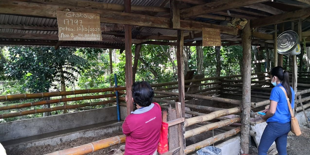 Liloan hopes to become supplier of weanlings in Southern Leyte