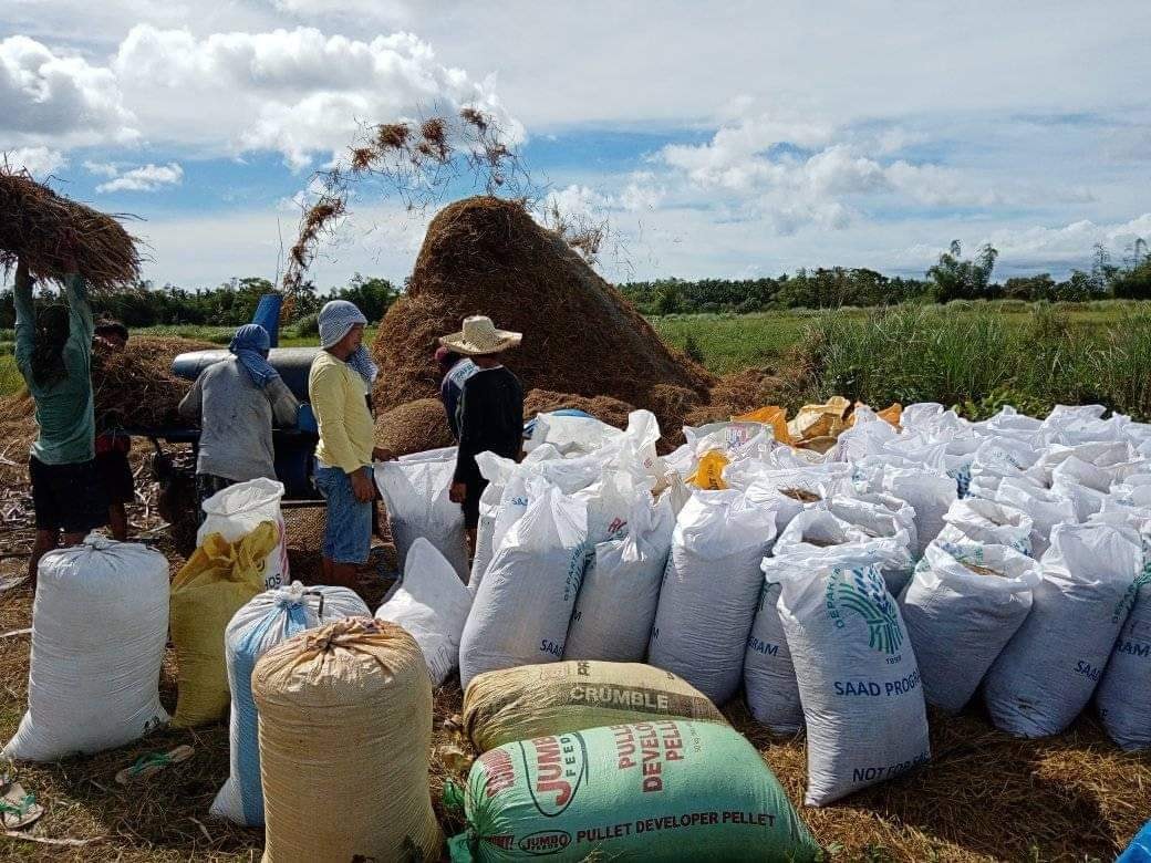 Rice harvests from SAAD projects commits to Masbate rehabilitation