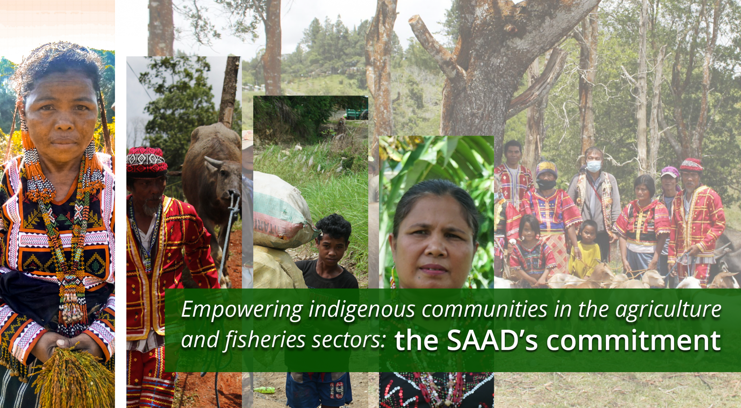 Empowering indigenous communities in the agriculture and fisheries sector: the SAAD’s commitment