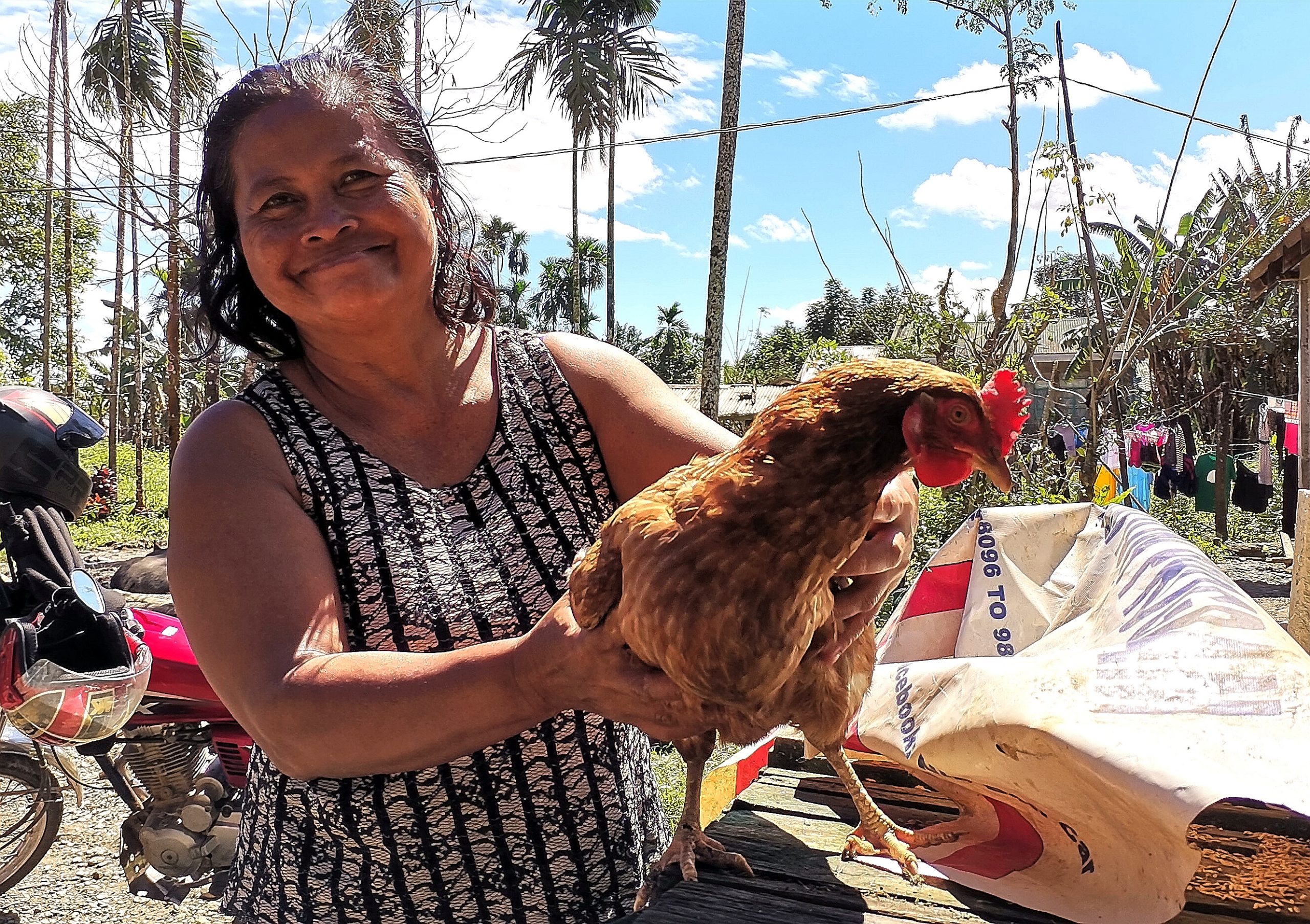 Anne raises her 5 chicken to ninefold and earns Php 12k