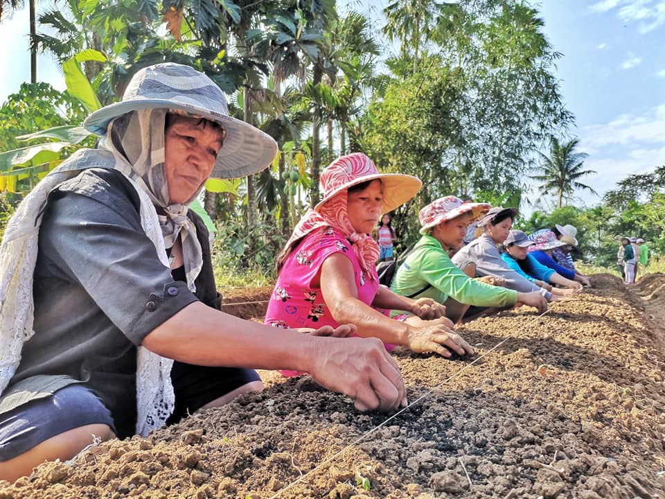Rural women-led communal gardening in celebration of National Women’s Month