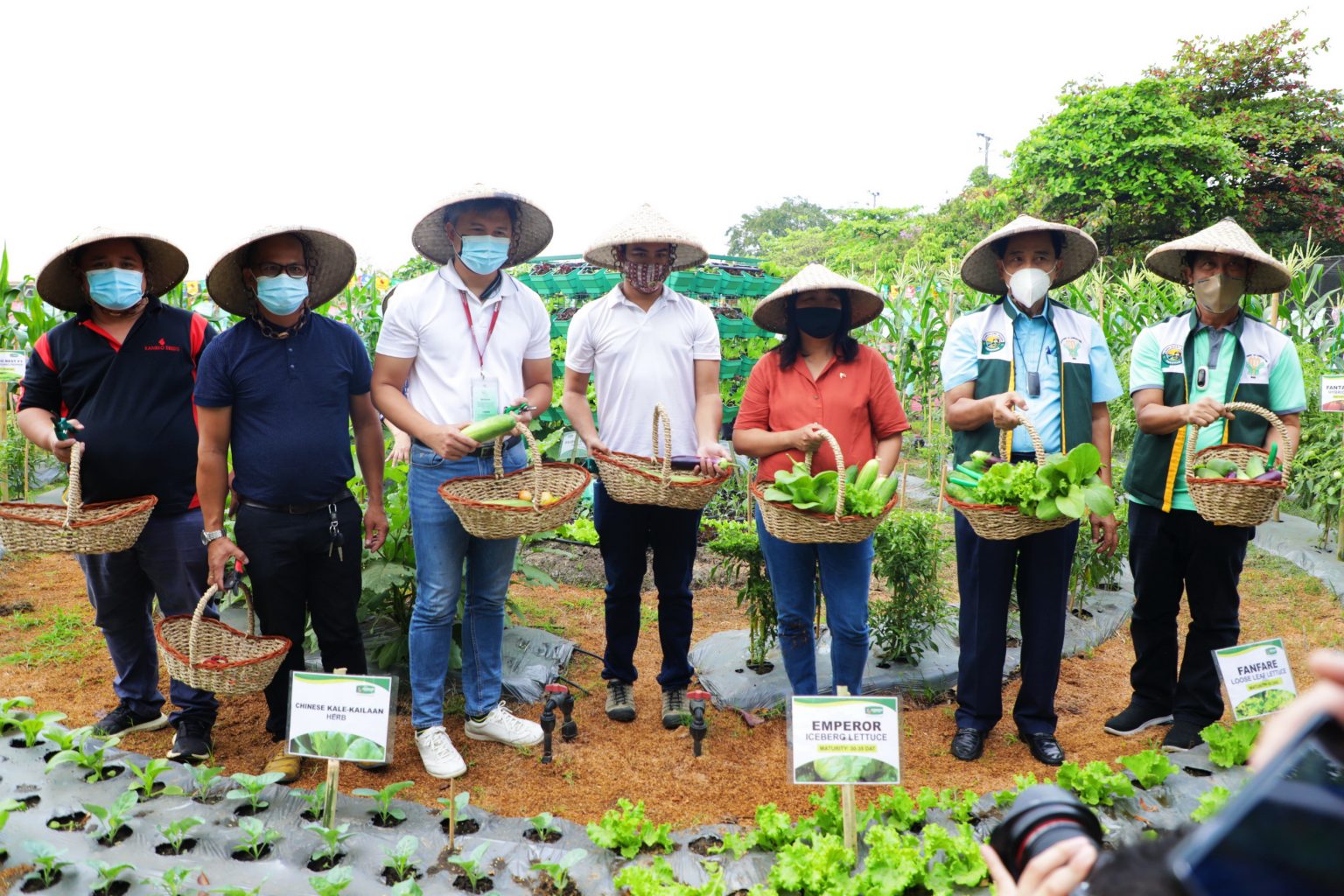Food garden in Luneta opens as show-window of urban agri technologies