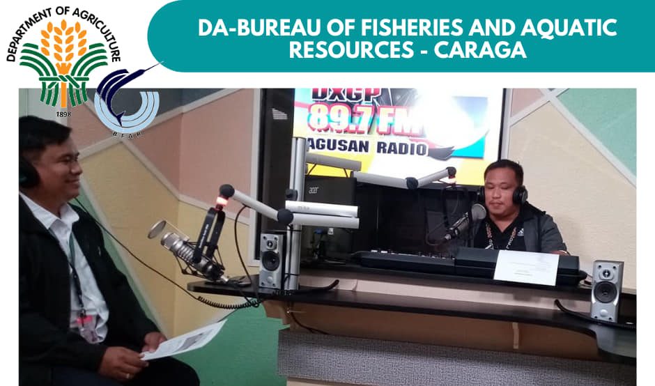 Agusan Radio features DA-SAAD Program for the fishery sector