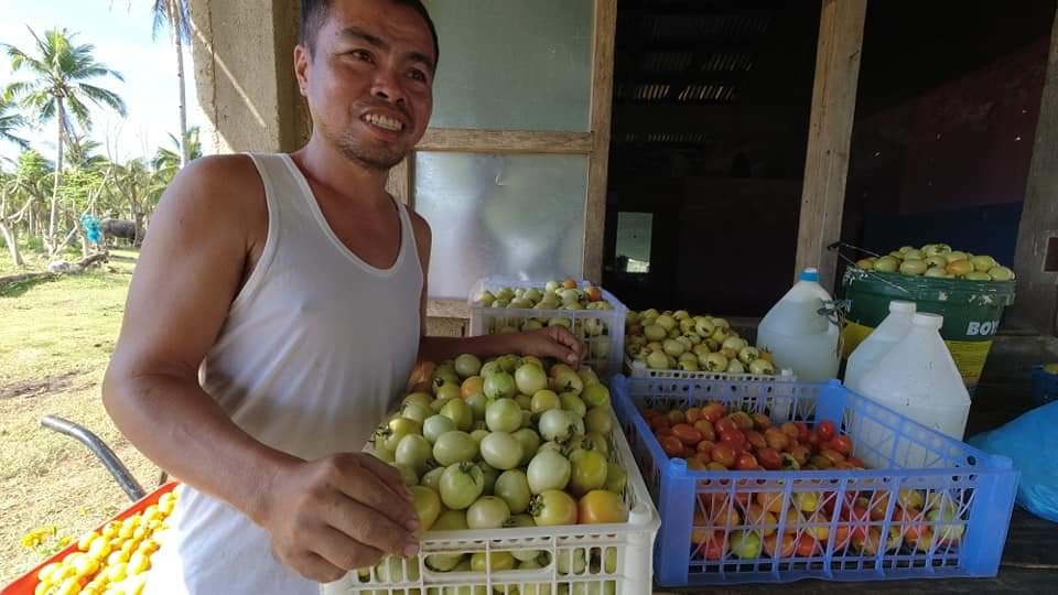 Masbate project emerging as veggie-hub of the community