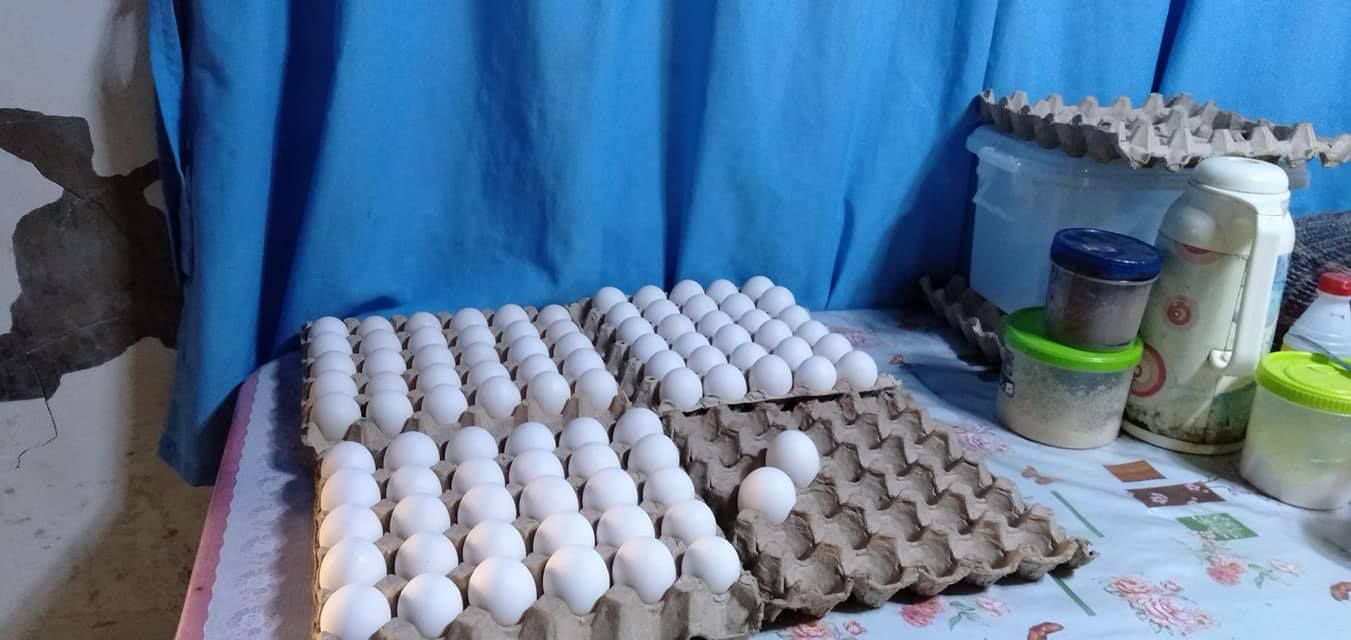 Ilomavis FA earns Php 10k from egg production