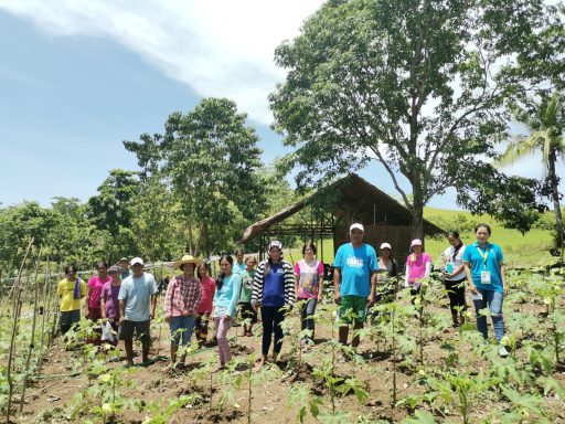 SAAD Bohol farmers earn from their communal garden amid pandemic