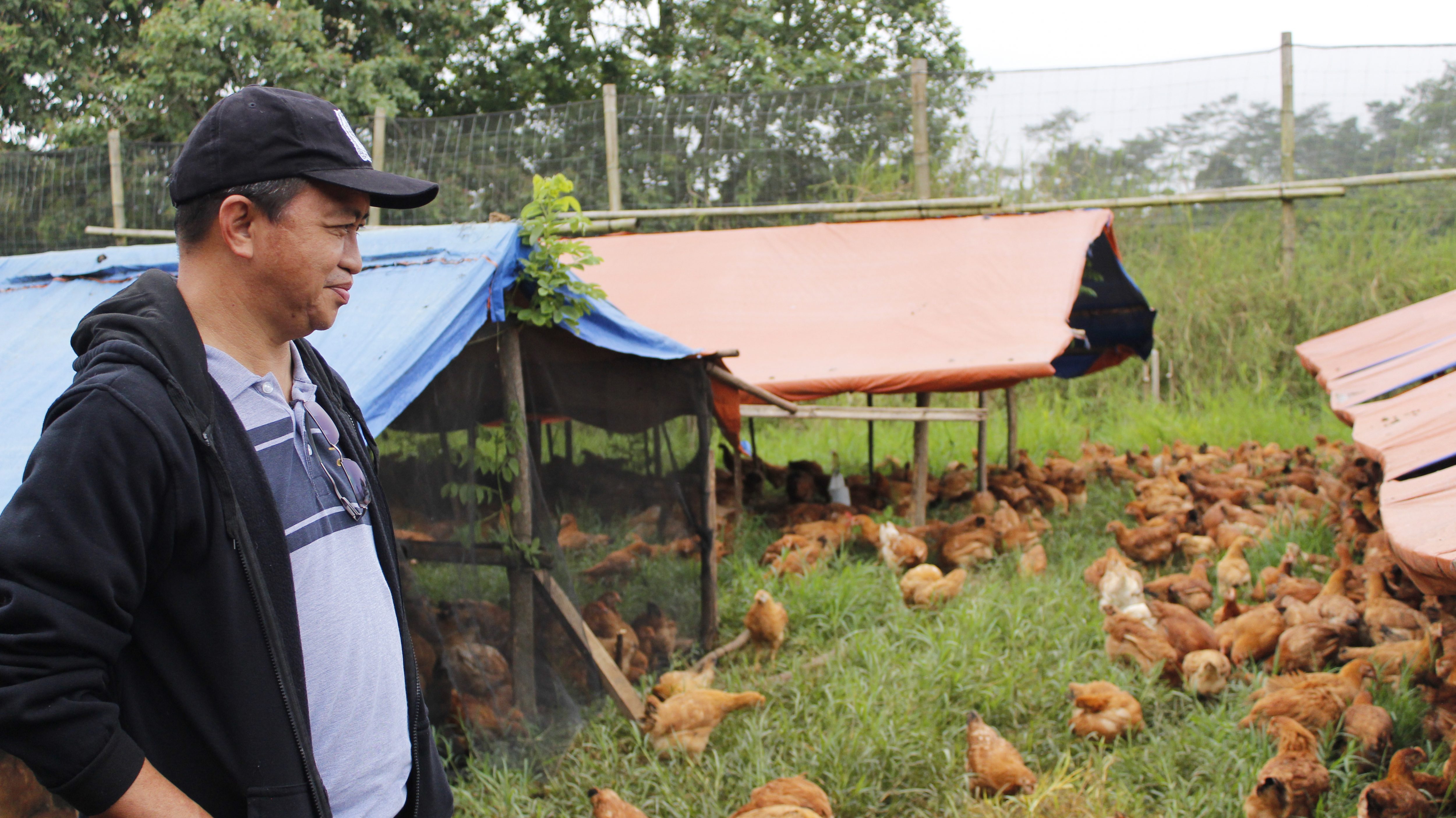 DA-SAAD NorMin kickstarts chicken multiplier farms in Bukidnon
