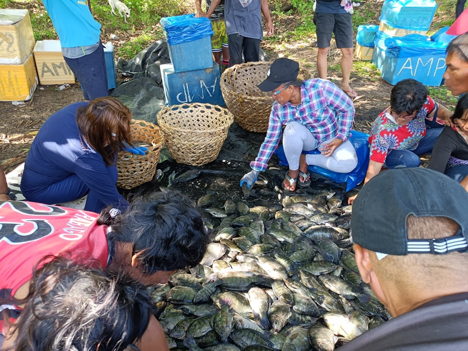 LDN fisherfolk earns Php 162K from tilapia culture