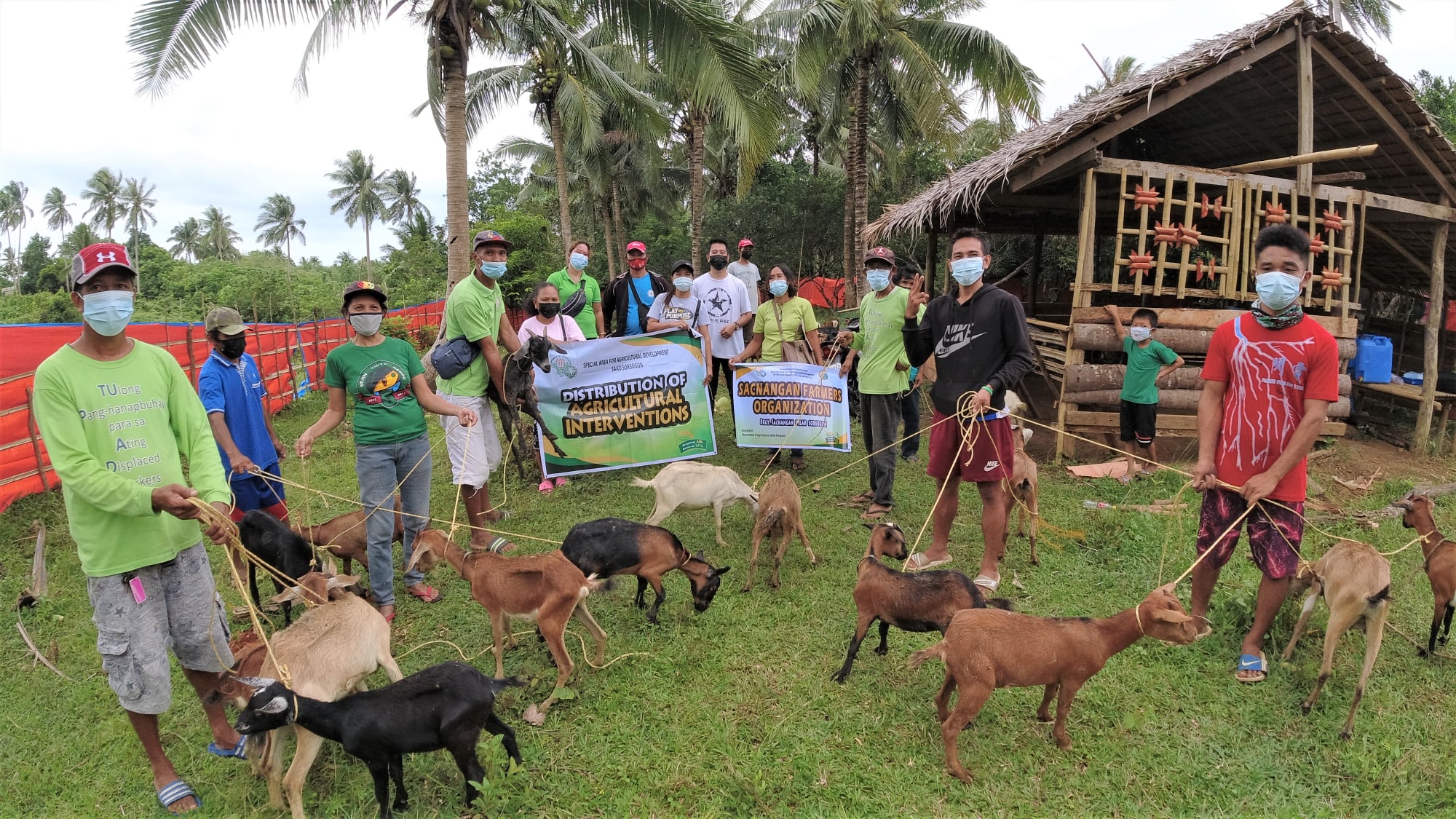 Provision of 100 goats to start local production in Sorsogon