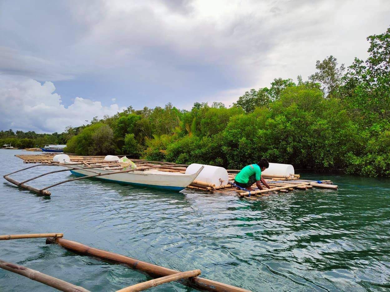120 Bohol fishers earn Php 800k from SAAD’s oyster, seaweeds culture projects