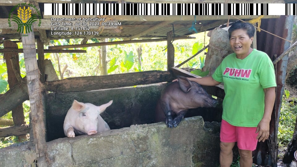 Hog raiser in Linamon, LDN earns Php 39K from Swine Production Project