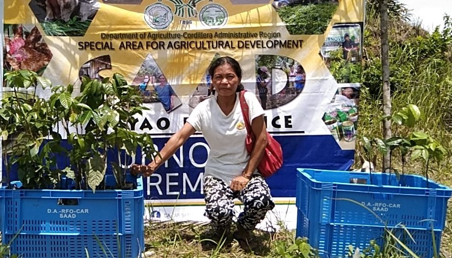 SAAD aids Apayao farmers with fruit trees and peanut livelihood