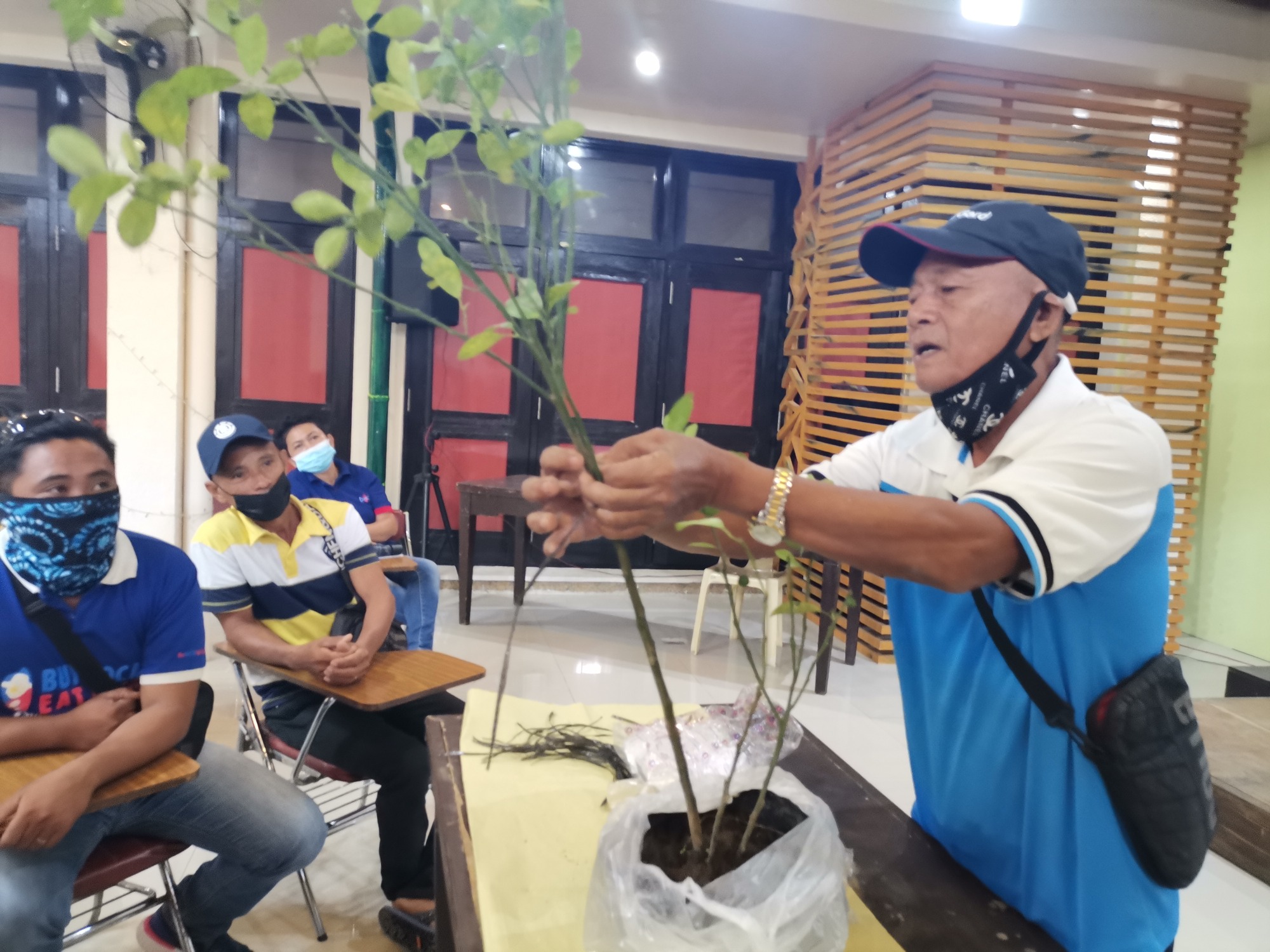 SAAD Bohol equips trainers on vegetable, calamansi production, organic farming