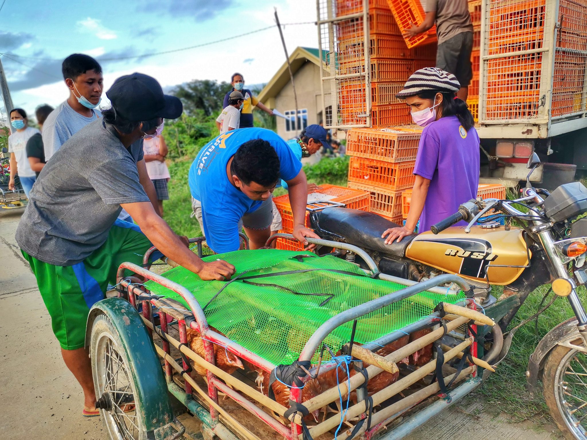 SAAD delivers inputs for 110 Apayao farmers’ chicken, egg venture