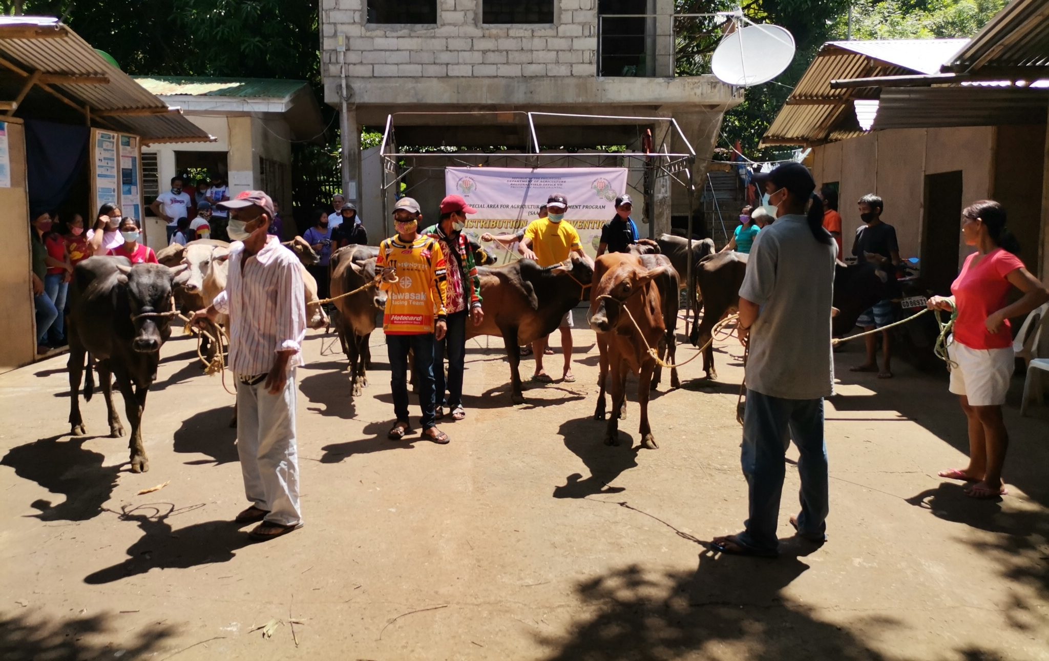 SAAD jumpstarts backyard cattle raising in Negros Oriental