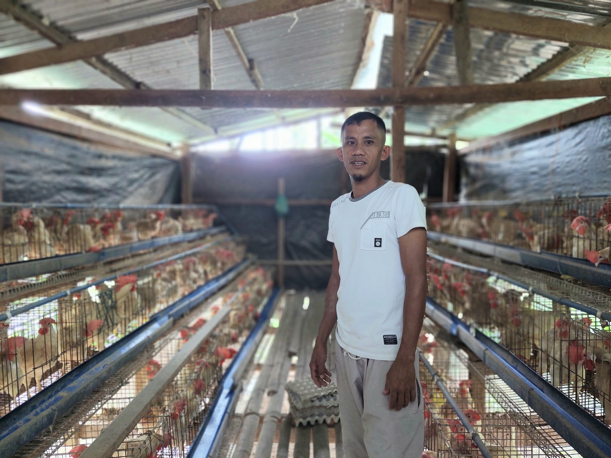 Six Nunungan farmers' Php 289K income from eggs, an enterprise in the making