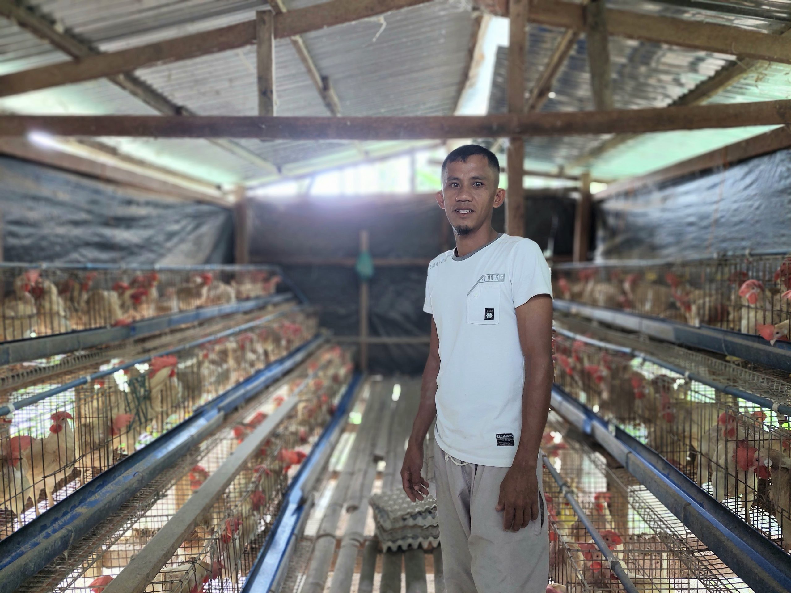 Six Nunungan farmers’ Php 289K income from eggs, an enterprise in the making