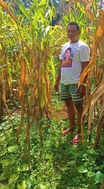 Panaon farmer earns Php 33K from Corn Production Project