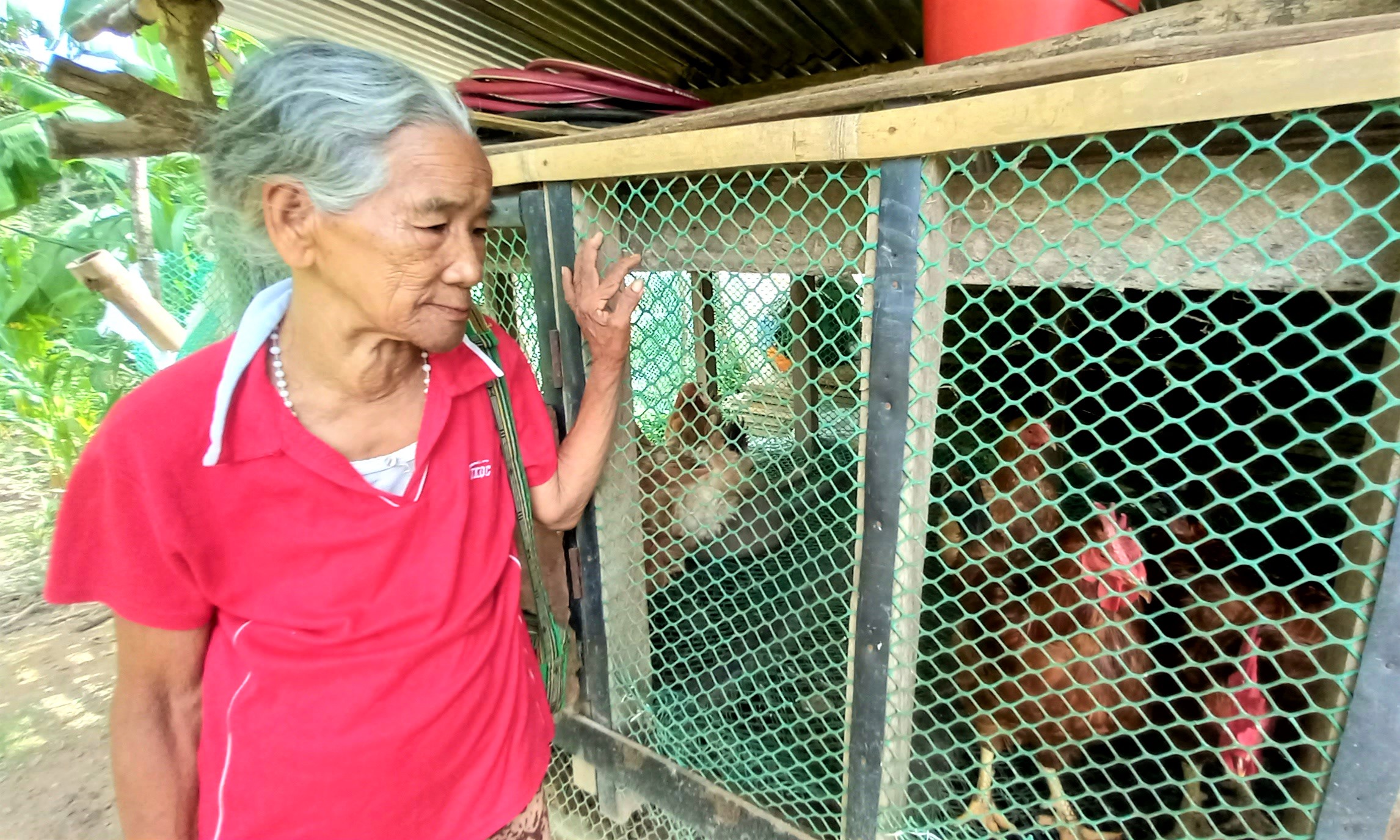 76-year-old woman-farmer contributes through community food and seed system