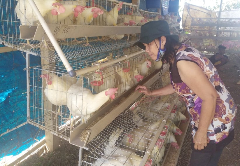 Health worker to egg producer: Rosita Masangkay’s story