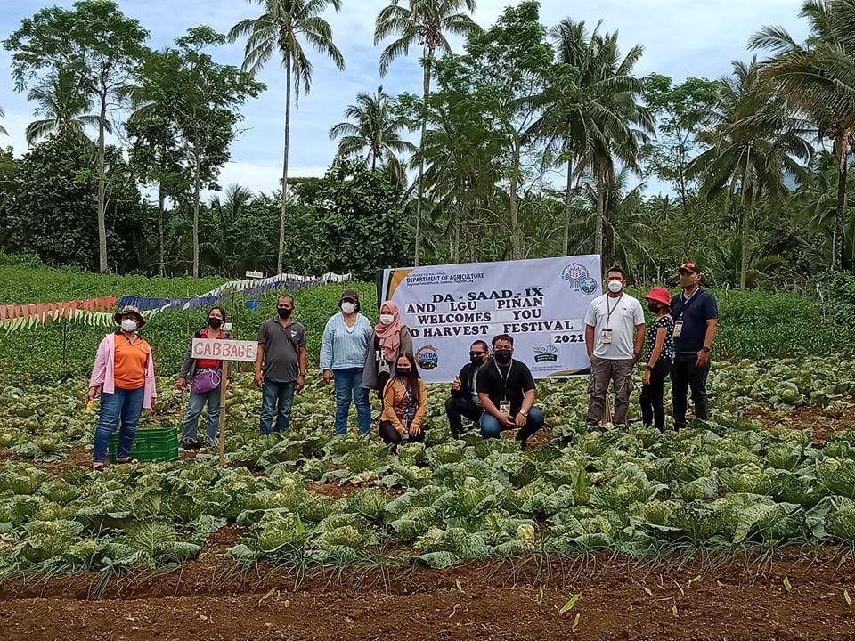 Farmers celebrate vegetable harvest festival in Piñan, ZDN
