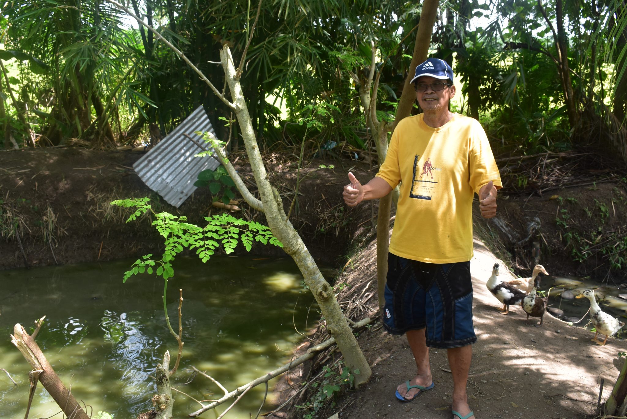 64-year-old farmer in Tacurong City earns Php 510K from hito (catfish) production