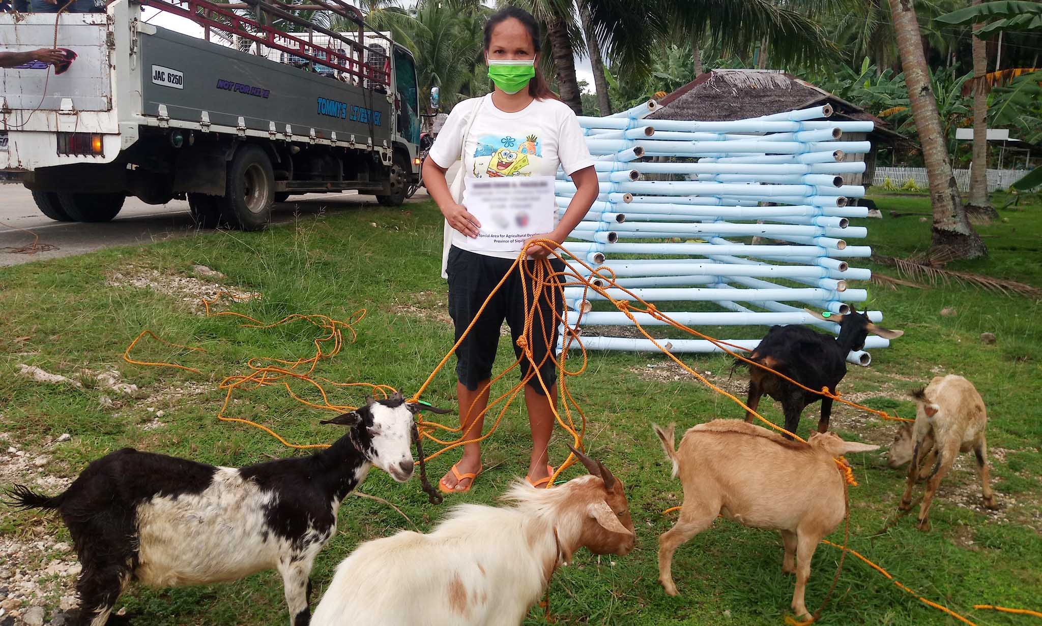 175 Siquijor farmers receive livestock, poultry worth Php 10.7M
