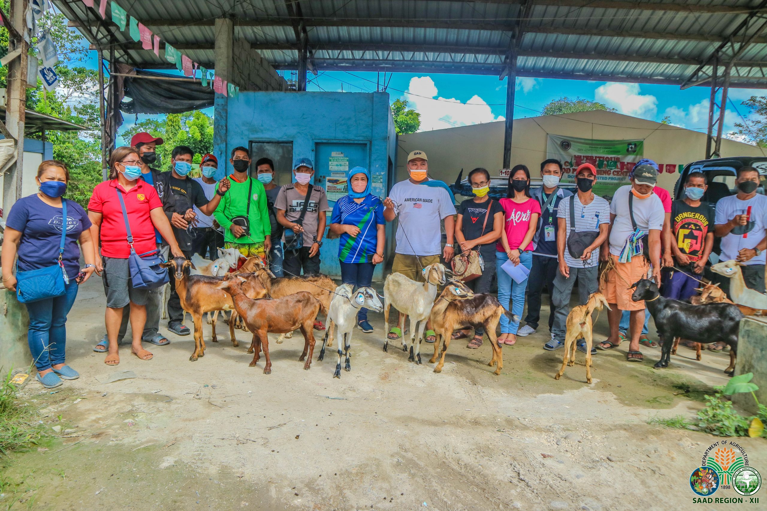 11 Cotabato FAs receive 150 Anglo-Nubian goats from DA-SAAD